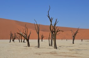 NAMIBIA